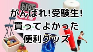 ふ*い様 マンスリーDVDサファイア12枚セット 小学・中学受験にしちだの通室生 Z会の通信教育】2025年度小学生向けコース申込受付開始【早期